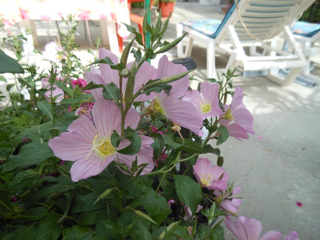 Pansion Giorgos & Rania Apartment Skiathos Town Room photo